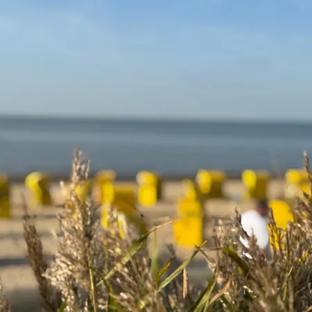 Zur Post * Cuxhaven